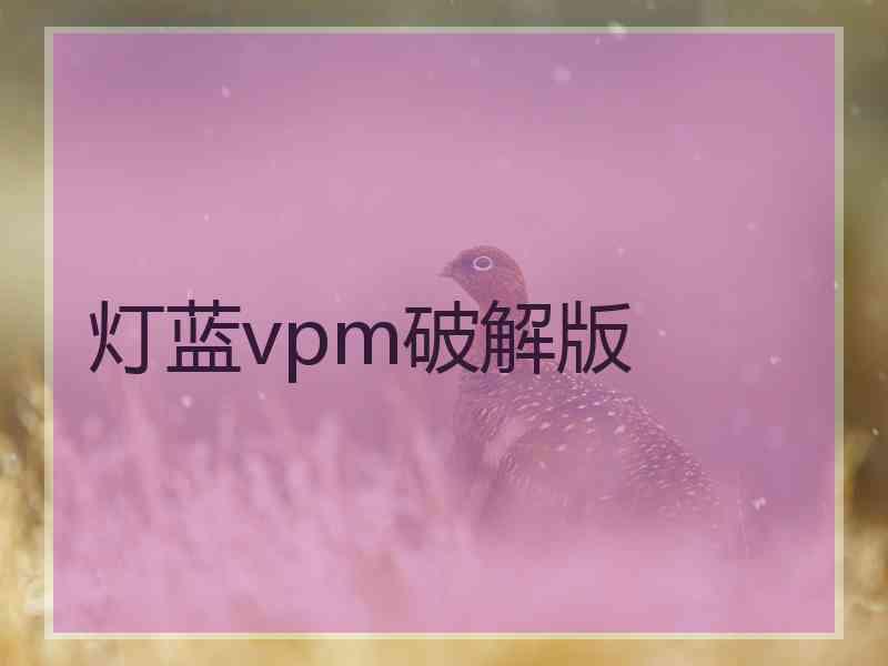 灯蓝vpm破解版