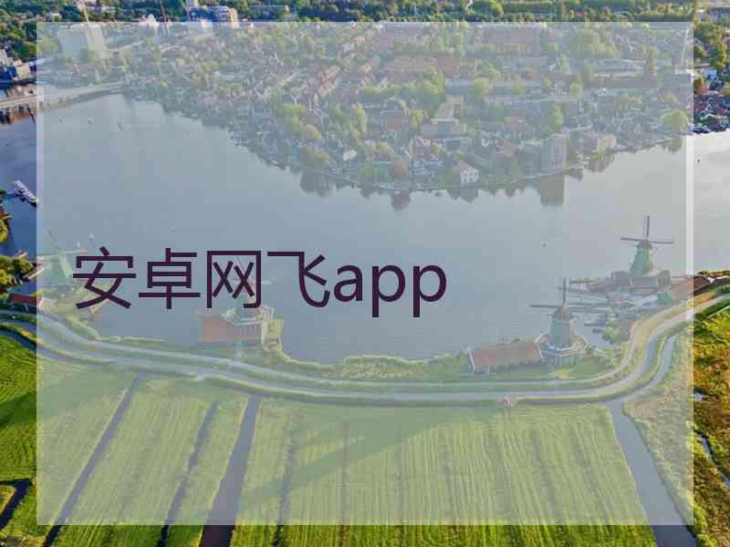 安卓网飞app