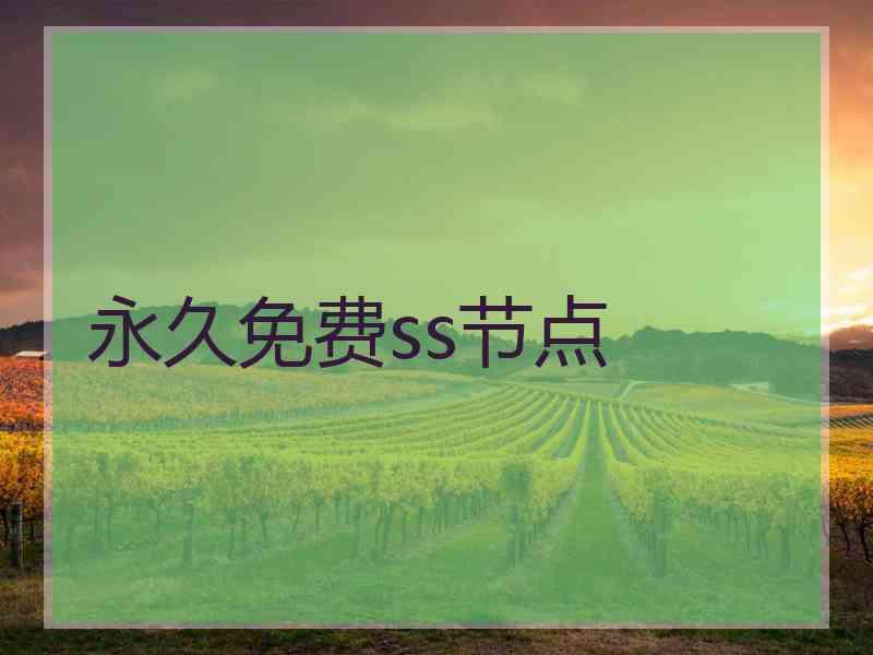 永久免费ss节点