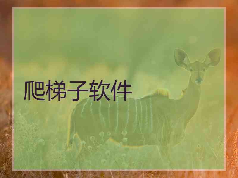 爬梯子软件
