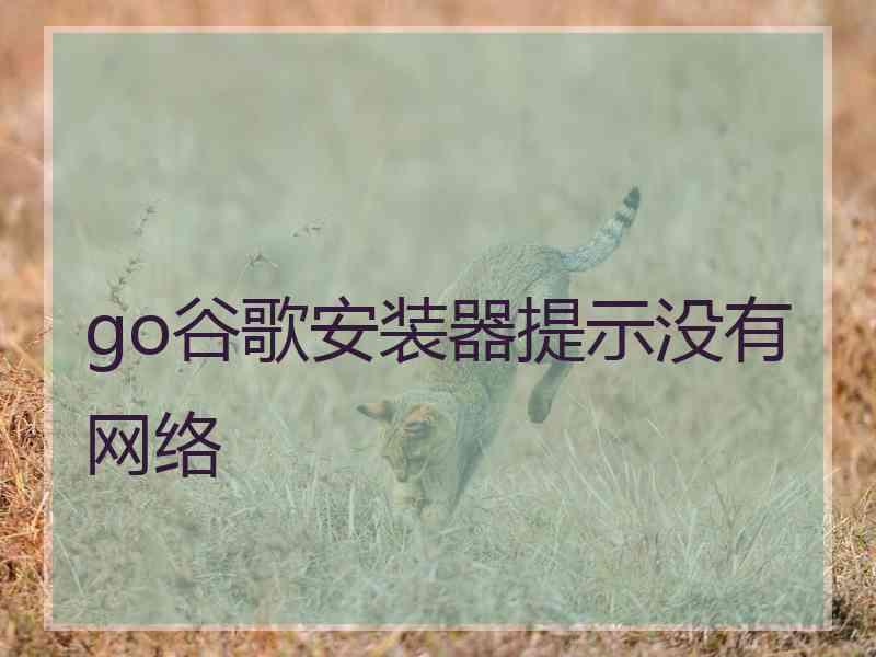 go谷歌安装器提示没有网络
