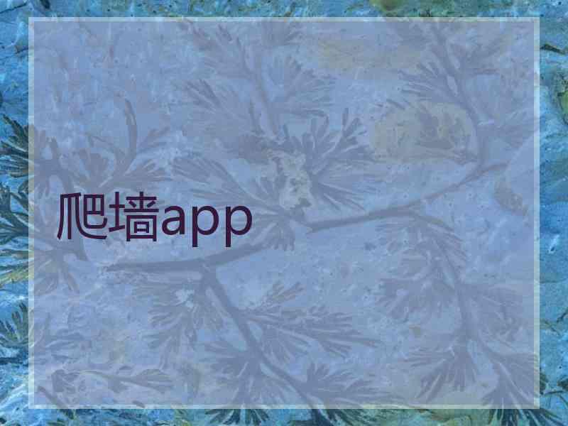 爬墙app