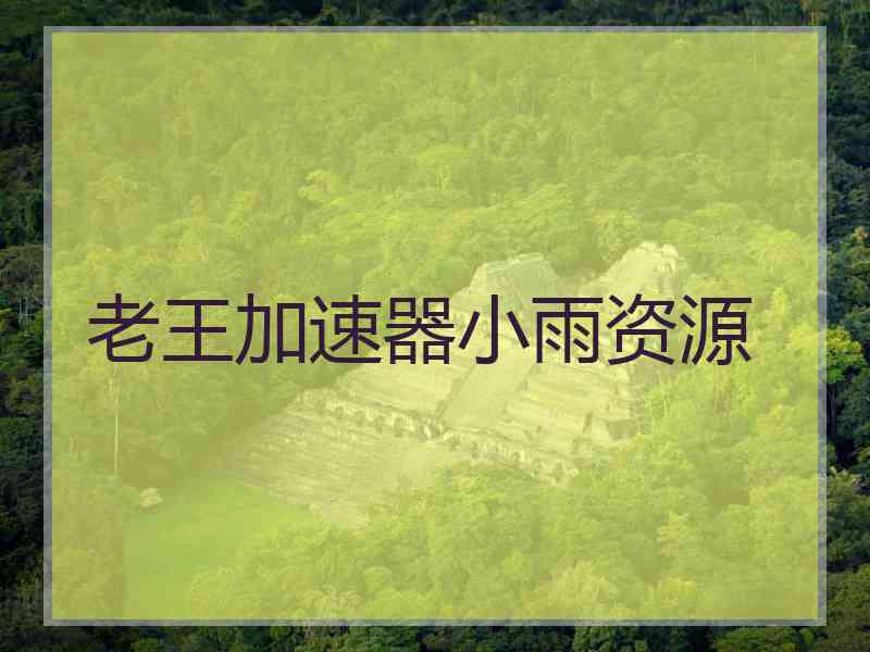 老王加速器小雨资源