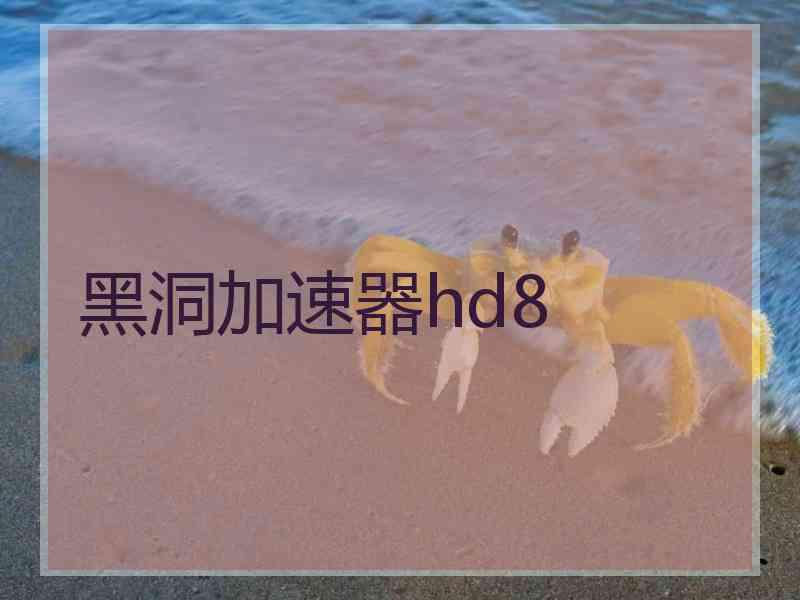 黑洞加速器hd8