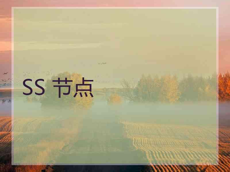 SS 节点