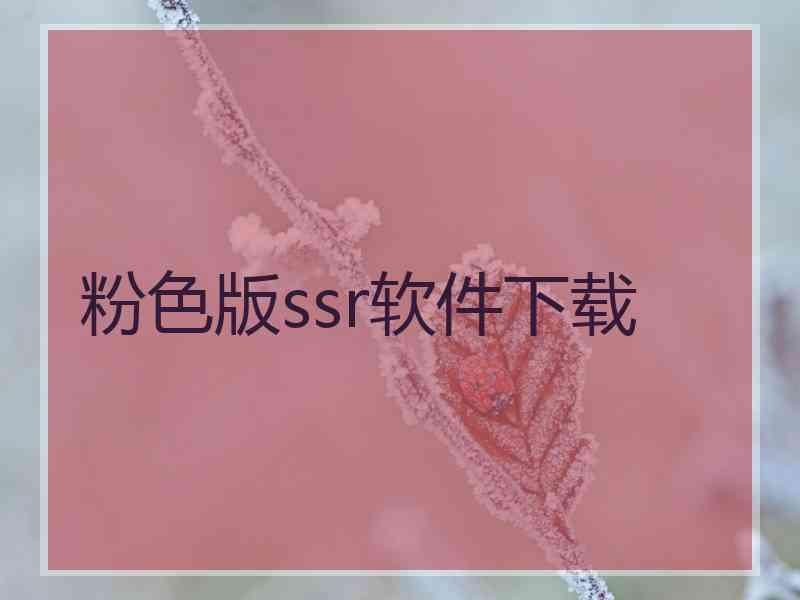 粉色版ssr软件下载