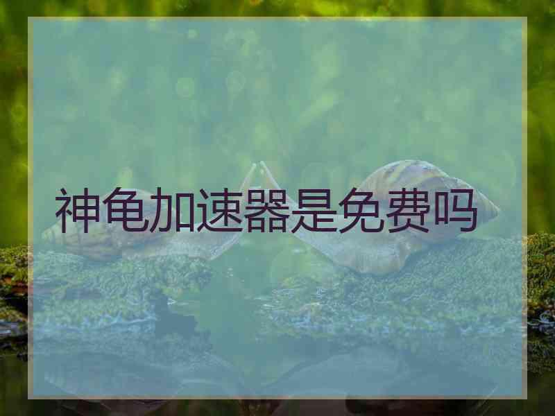 神龟加速器是免费吗