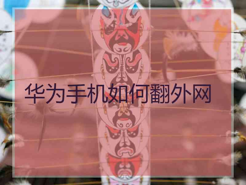 华为手机如何翻外网
