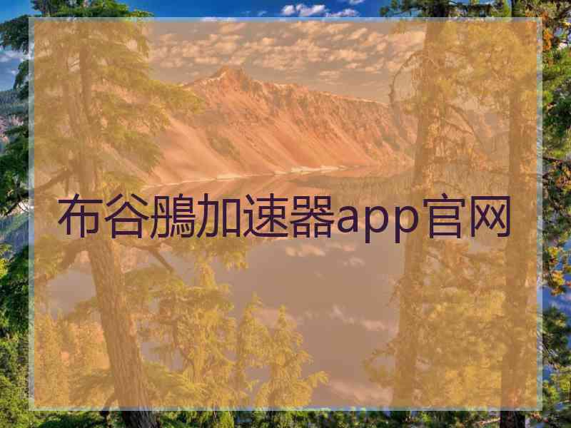 布谷鴅加速器app官网