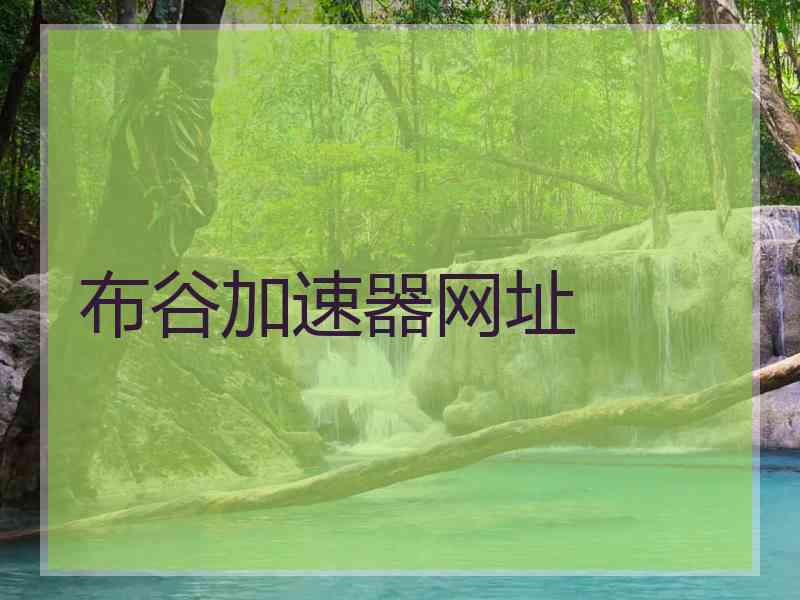 布谷加速器网址