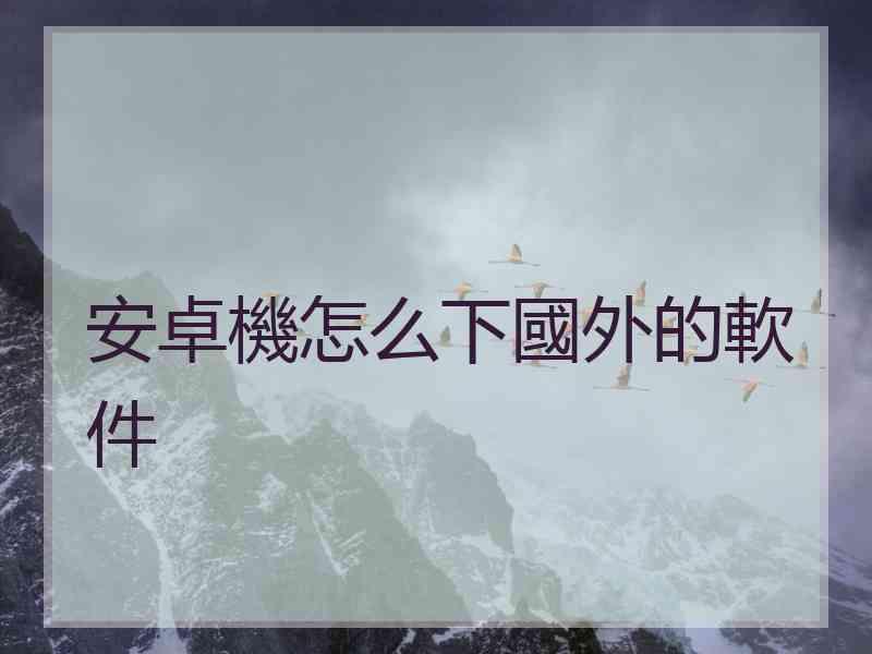 安卓機怎么下國外的軟件