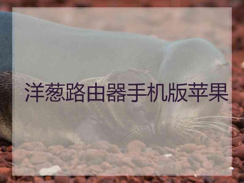 洋葱路由器手机版苹果