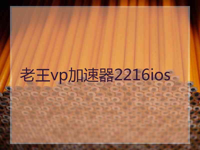 老王vp加速器2216ios