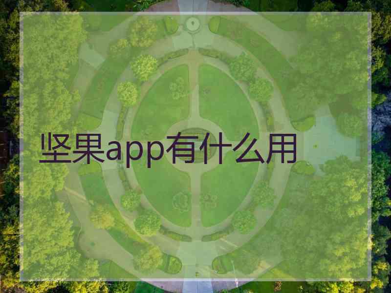 坚果app有什么用