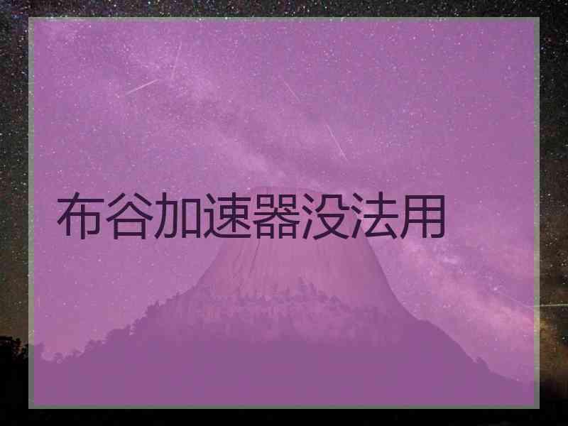 布谷加速器没法用