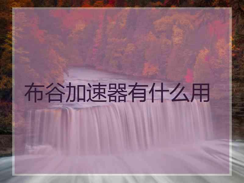 布谷加速器有什么用