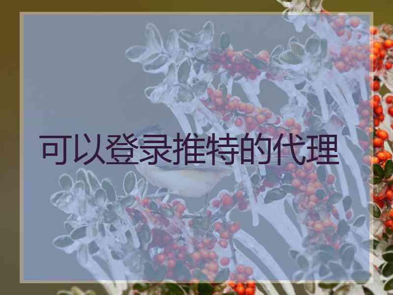 可以登录推特的代理