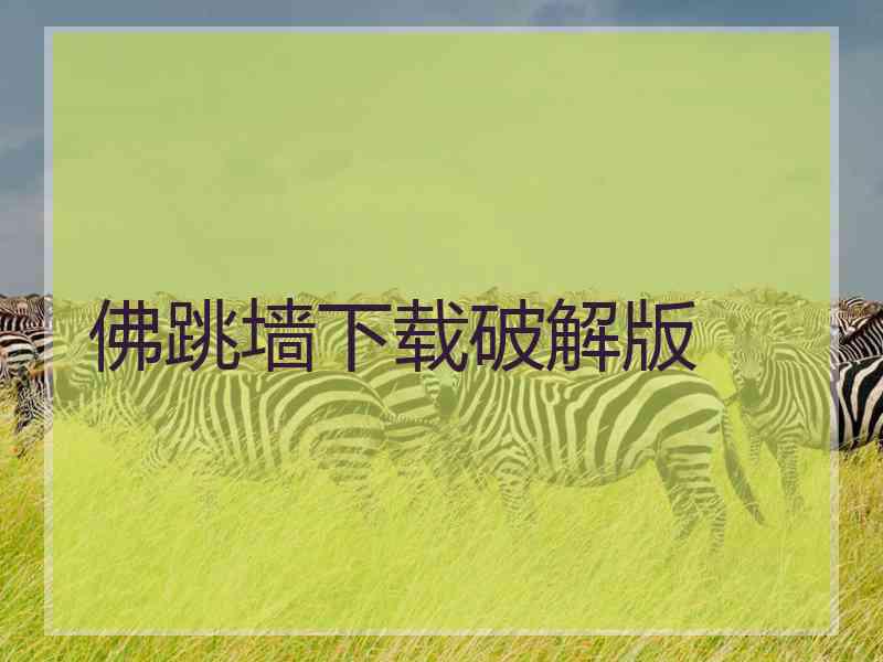 佛跳墙下载破解版