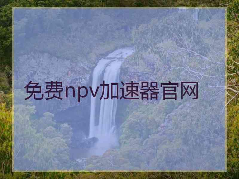 免费npv加速器官网