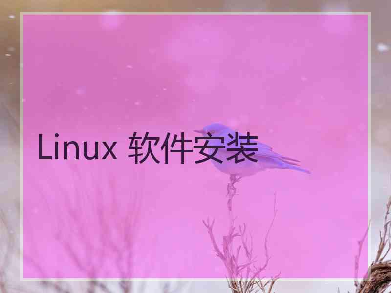 Linux 软件安装