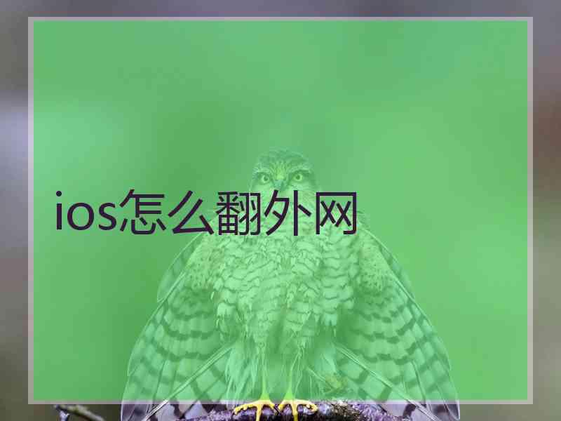 ios怎么翻外网