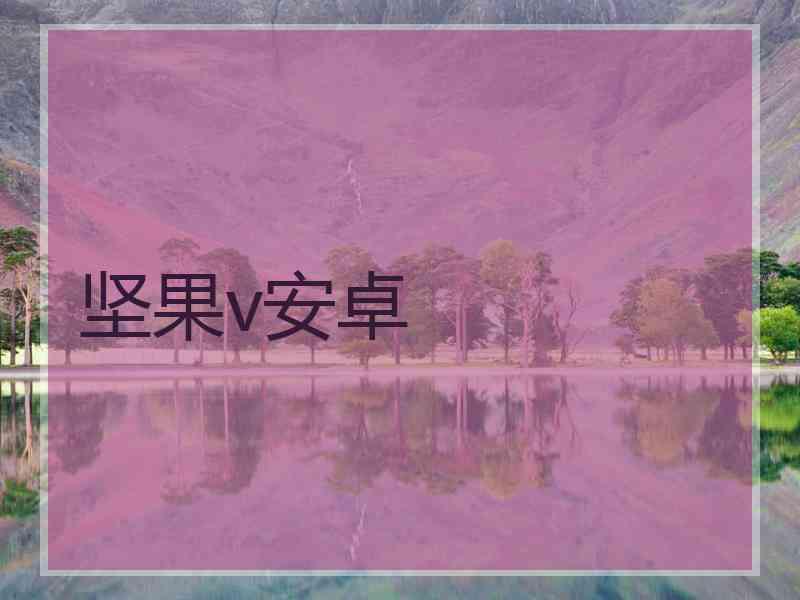 坚果v安卓