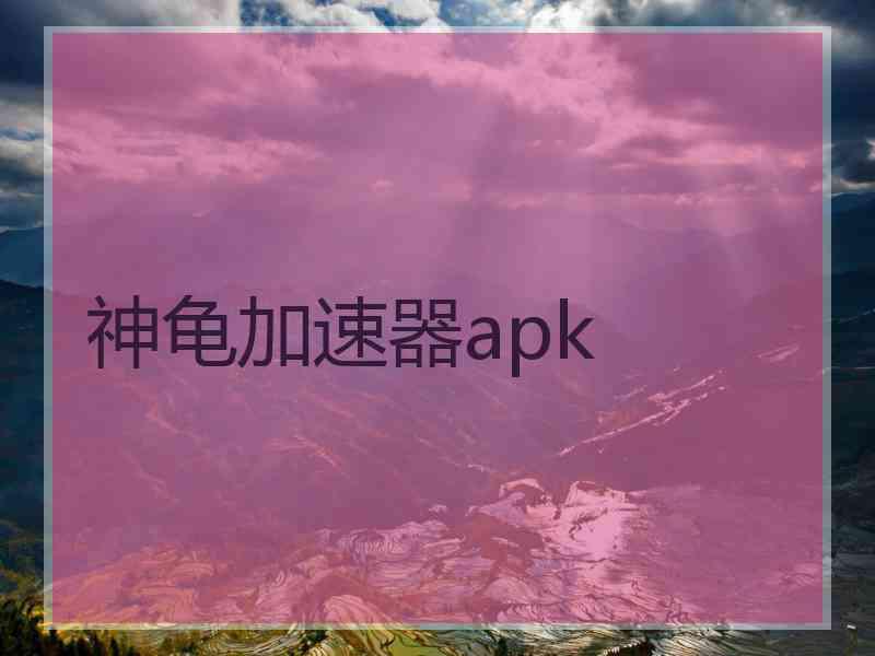 神龟加速器apk