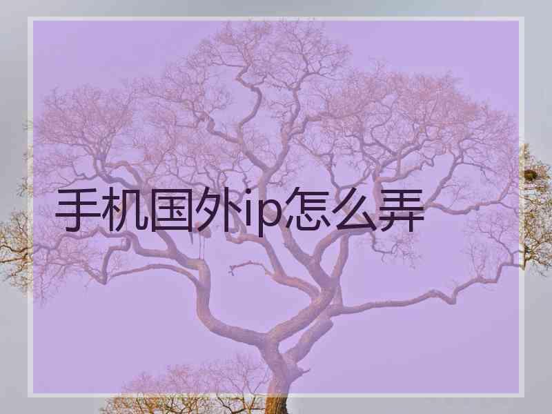手机国外ip怎么弄