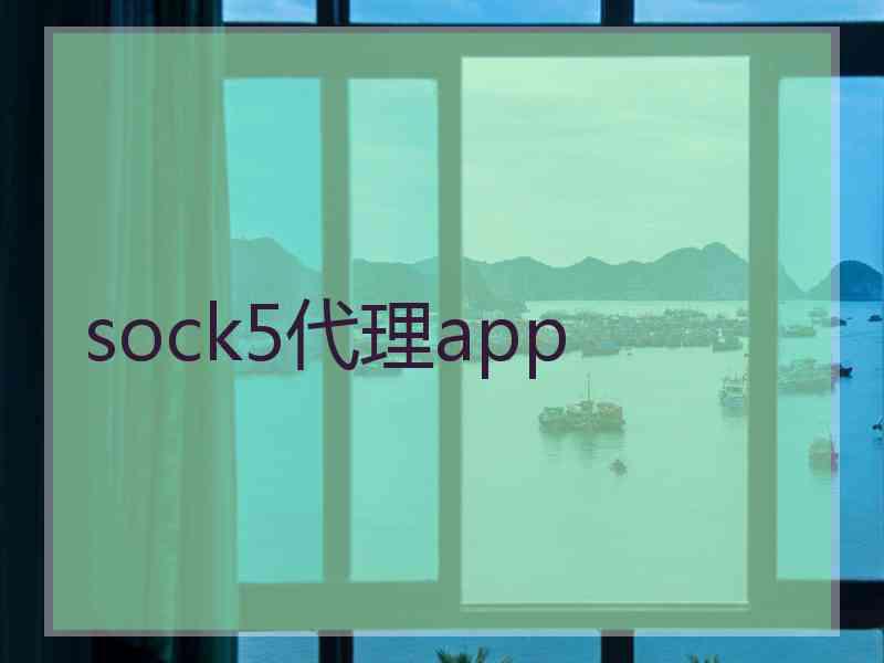 sock5代理app