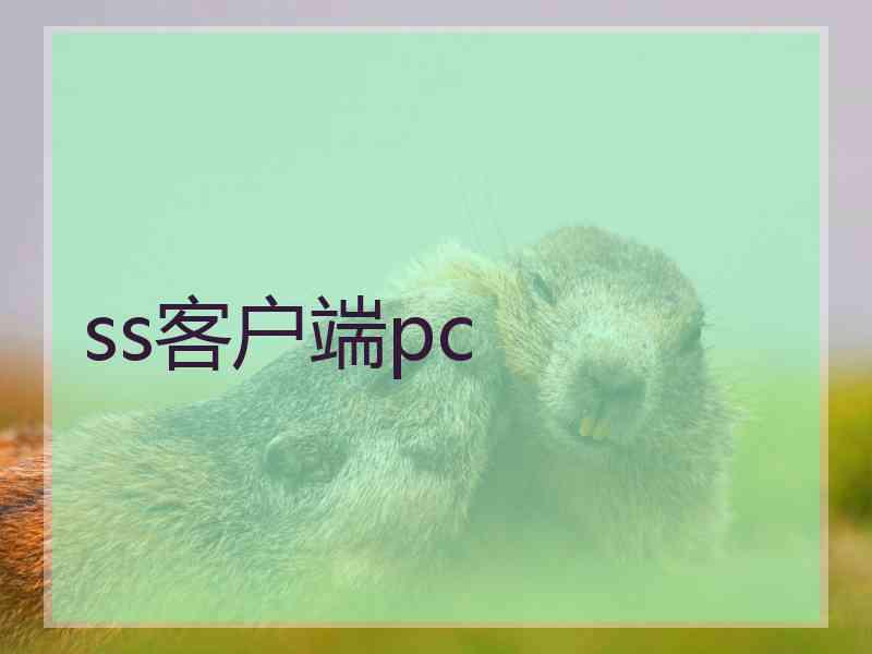 ss客户端pc
