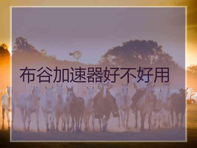 布谷加速器好不好用