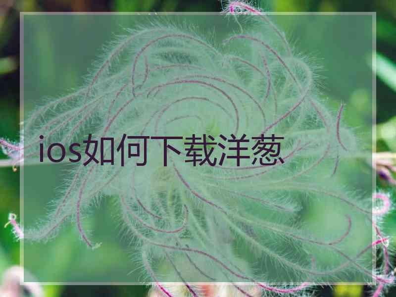 ios如何下载洋葱