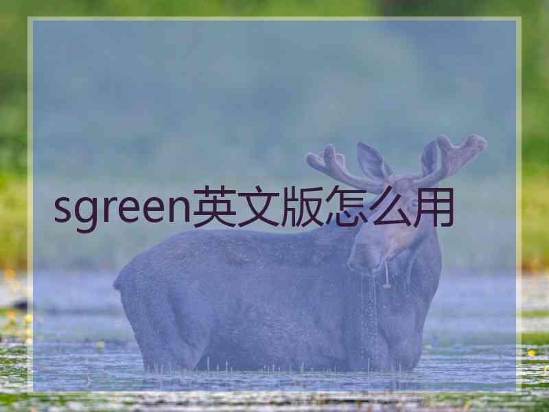 sgreen英文版怎么用