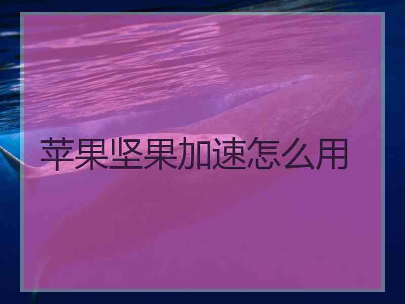 苹果坚果加速怎么用
