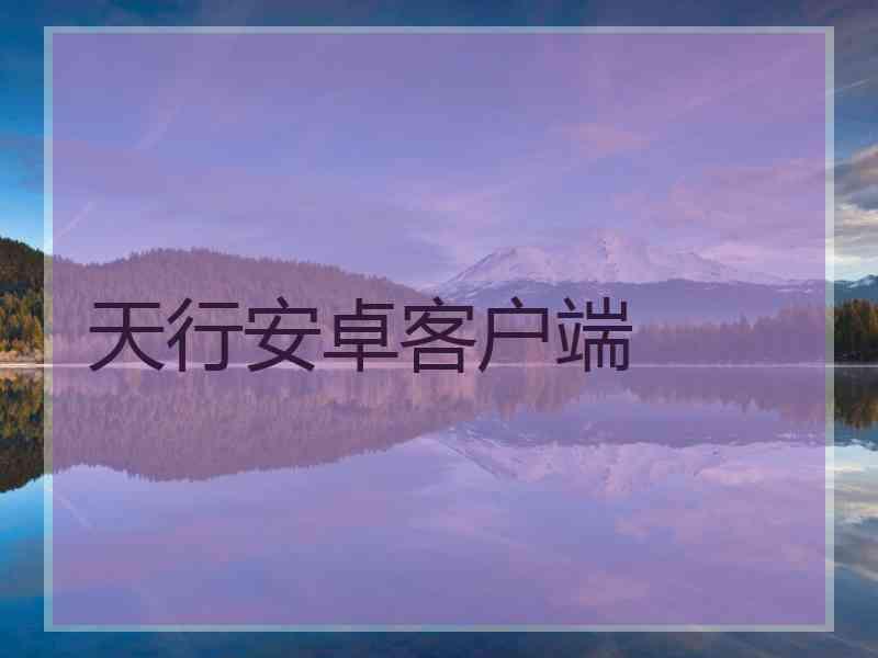 天行安卓客户端