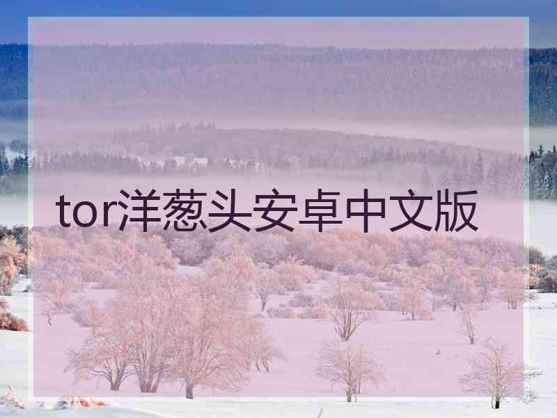 tor洋葱头安卓中文版