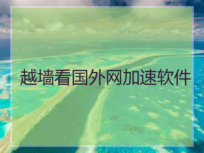 越墙看国外网加速软件